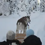Ξενοδοχείο Arctic Zone 3*