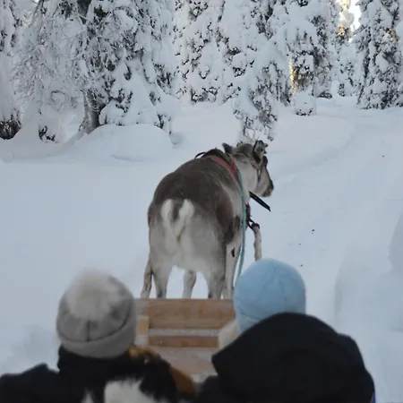 酒店 Arctic Zone 3*