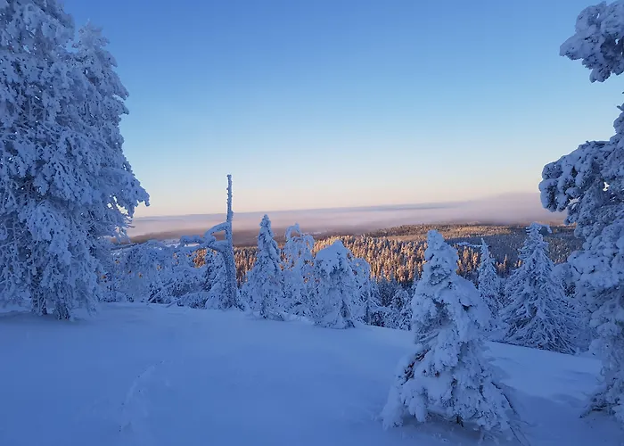 Arctic Zone فندق 3*