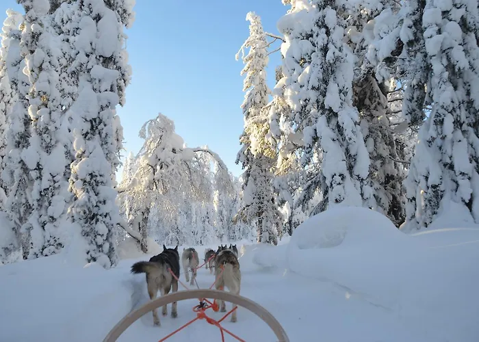 Hotel Arctic Zone Ruka